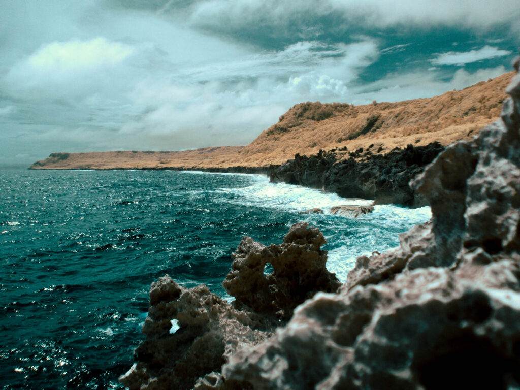 Seaside Cliffs